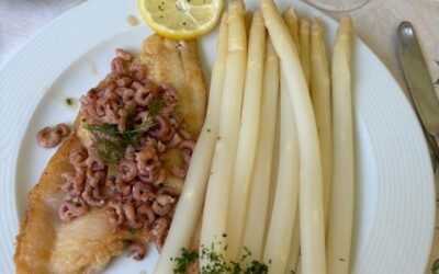 WIB Juni 2024 Spargel